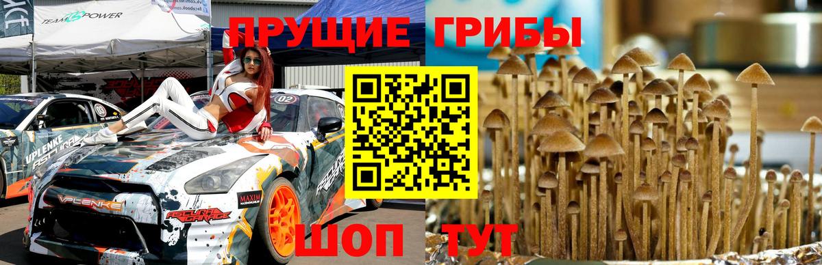 Псилоцибиновые грибы MAGIC MUSHROOMS  Вход с VPN  Тверь 