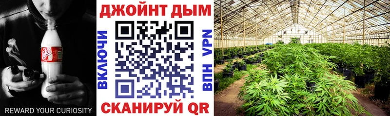 купить наркотики сайты Тверь Бошки марихуана White Widow
